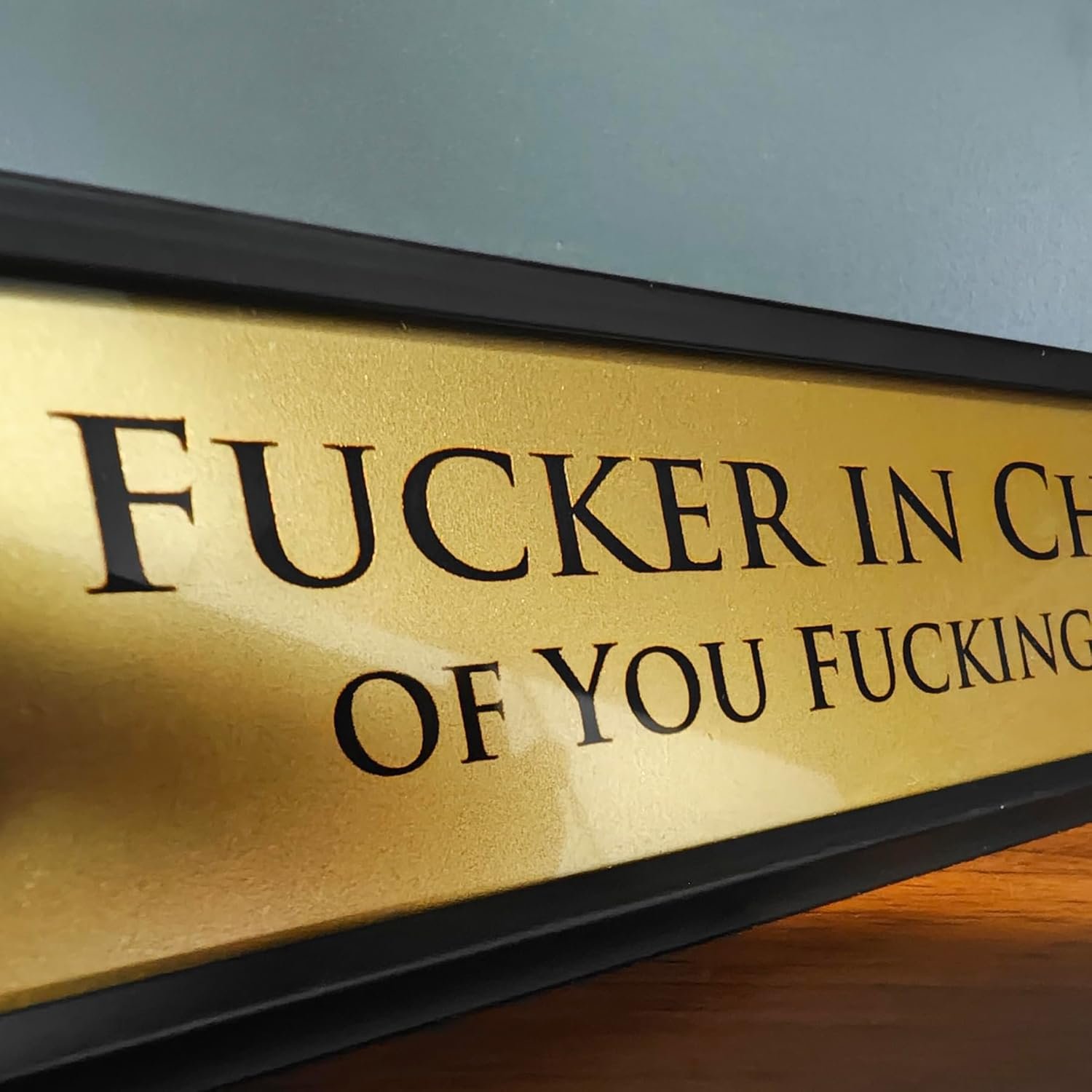 Fucker in Charge of You Fucking Fucks Office Sign - 8x2" Exe... - Image 5